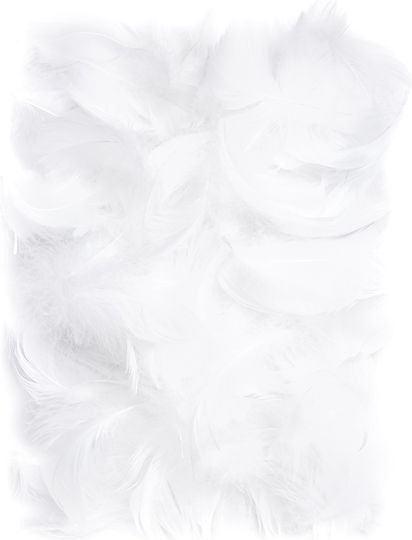 Pene Decorative Ornamentale Albe 5-12cm 10g