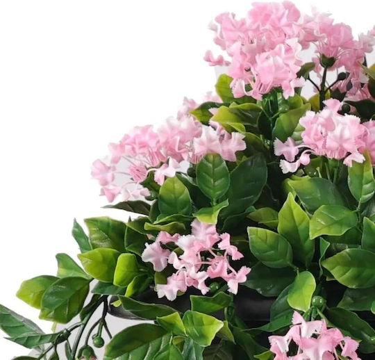 Plantă Decorativă De Liliac Indian