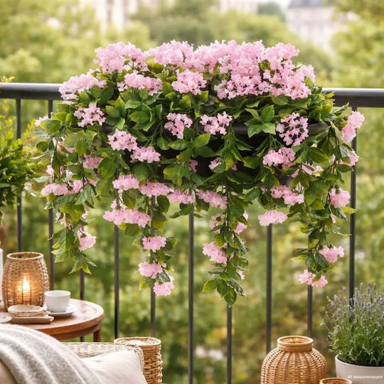 Plantă Decorativă De Liliac Indian