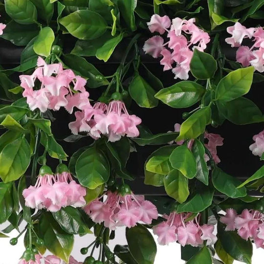 Plantă Decorativă De Liliac Indian
