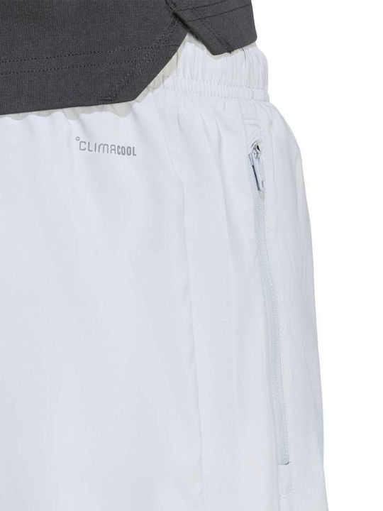 Herren-Sweatpants Glänzende Graue Essentials Jogginghose