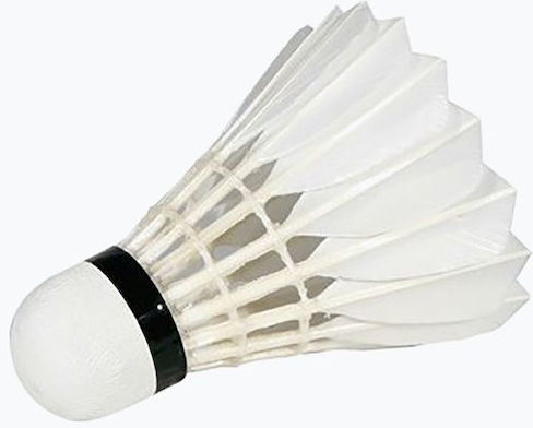 Victor Aripi Badminton 12 Bucăți