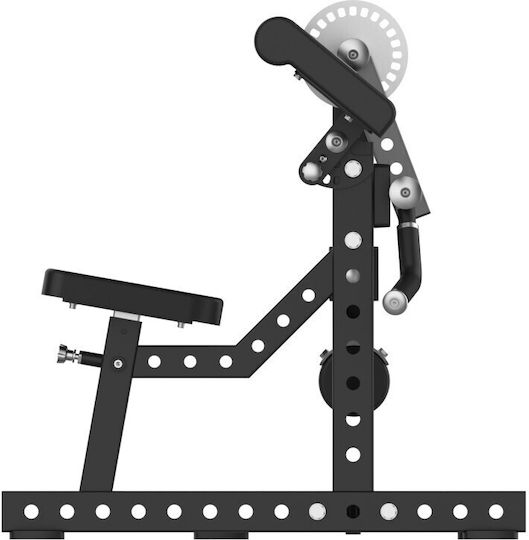 eBoxing Extension Ebx Biceps/Triceps Machine without Weights