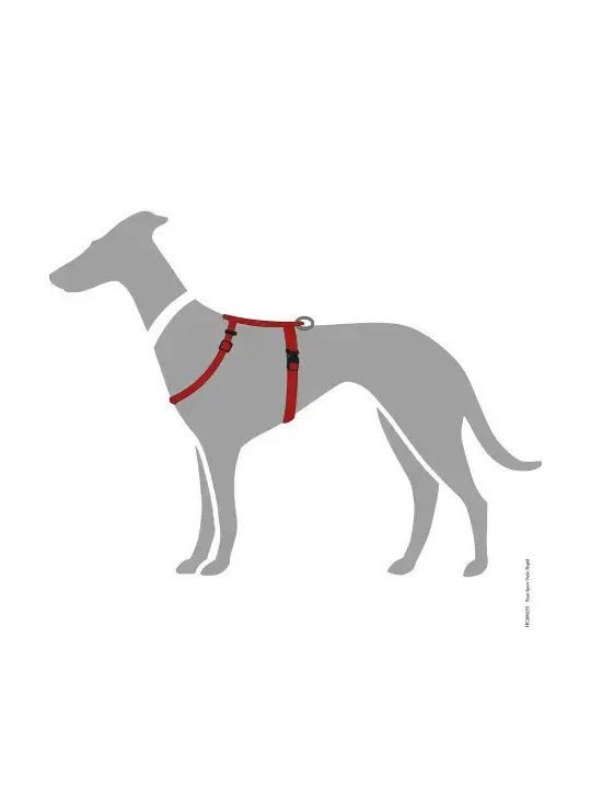 Hunter Ecco Sport Vario Rapid Ham Pentru Câine S-m Hunter Ecco Sport Vario Rapid Ham Pentru Câine S-m