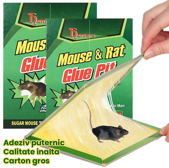 Alista Home Παγίδα Κόλλας 21x15cm 163291