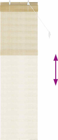 vidaXL Bamboo Roller Blind in Beige 50x220 cm