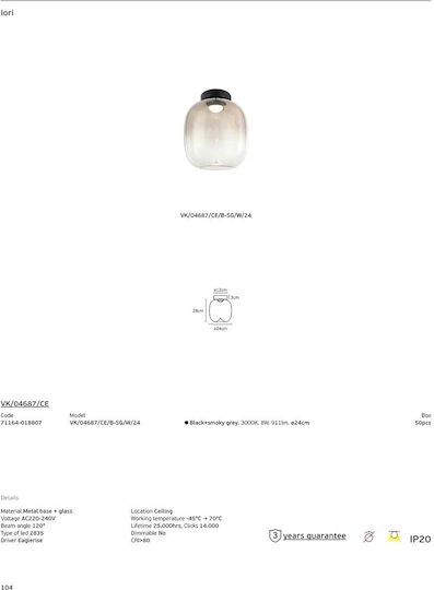 VK Lighting Plafonieră de Tavan 24 cm Neagră cu LED Integrat