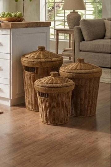 SteweHome Set Dekorative Körbe Korbweide mit Deckel Braune 30x20cm 3Stücke