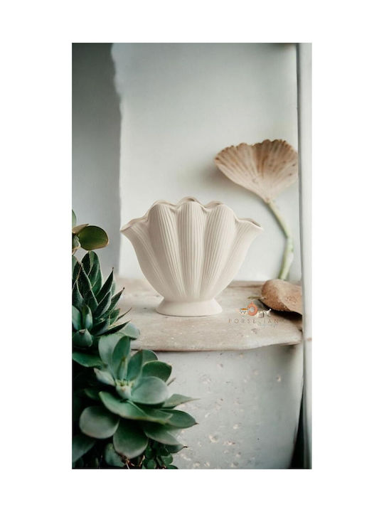 SteweHome Set Ecru Decorative Vases