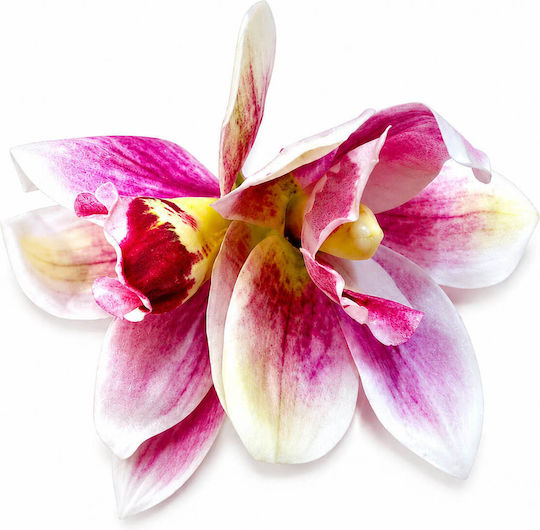 Double Orchid Hair Clips Pink White Bride Baptism Camellia