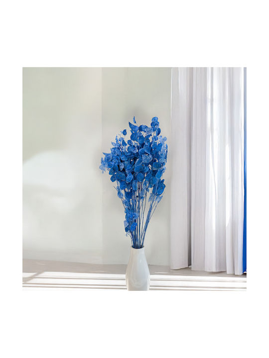Lunaria Uscată Albastră Lunară Lunară