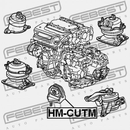 Febest Motorhalterungen Honda Accord Cp2 2008-2011 Us 50851-ta1-a01