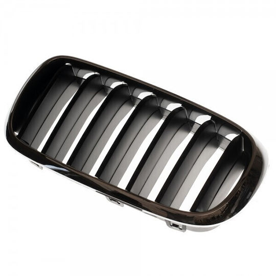 ABC Parts Decorative Car Grille BMW X5 (F15)
