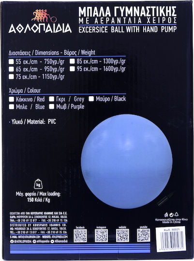 Athlopaidia Pilates Ball 1.3kg in Pink Colour
