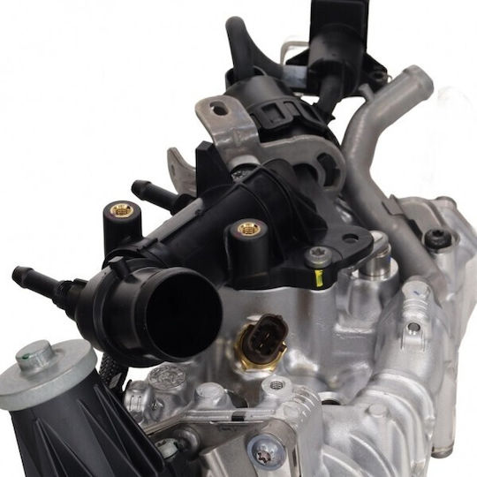 Fiat Car Water Radiator for Fiat Ducato