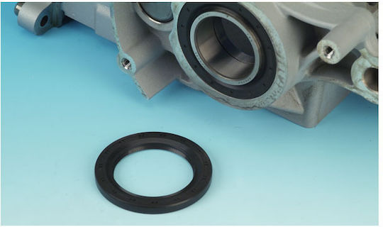 James Gaskets Motorcycle Countershaft Seal Harley Davidson 06 17 Dyna 07 25 Softail 07 25 Flt Touring 06 22 Xl Sportster 08 12 Xr1200 Oil Seal Transmission Mainshaft