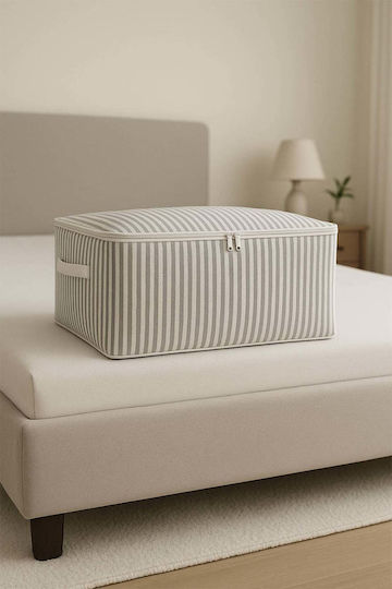SteweHome Clothes Storage Case 60x40x22cm 10pcs