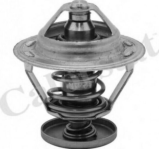 Thermostat Cooling Liquid Vernet