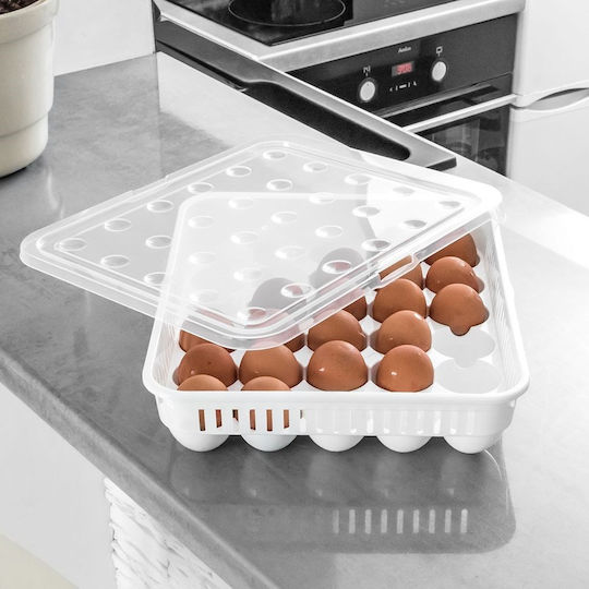 Orion Eierfächer Kühlschrank-Organisatoren für 30 Eier 33x27x7cm