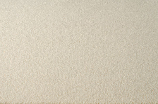 Carpet Bari 2619 13mm Ivory 400x