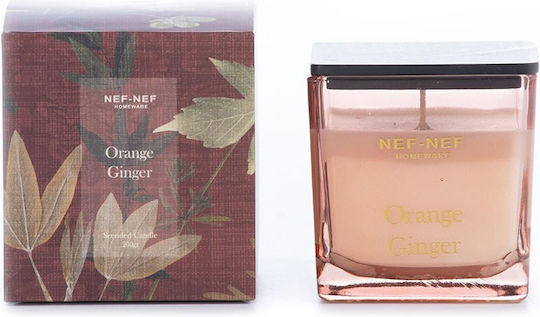 Aromatische Kerze Orange Ingwer 200g Bordeaux Nef-nef Homeware