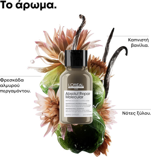 Absolut Repair Molecular Shampoo zur Restrukturierung und Pflege & für Volumen 100 ml