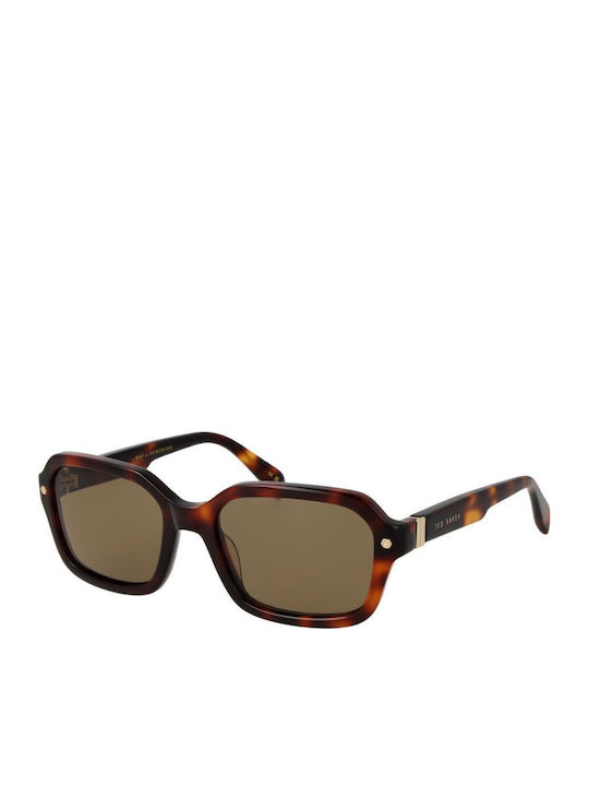 Ted Baker Tba Tb1697 Unisex Sunglasses with Brown Horn-Rimmed Frame and Brown Lenses