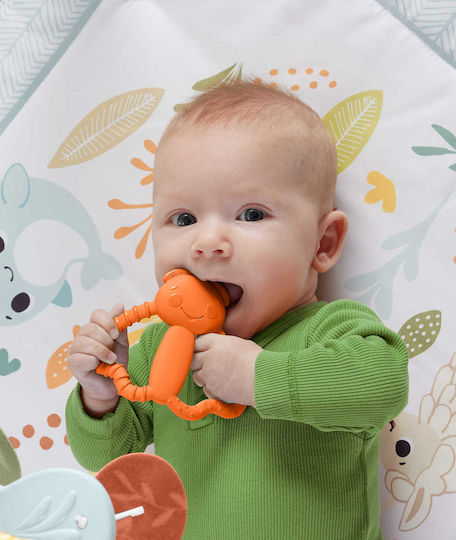 Fisher Price Μασητικό Οδοντοφυΐας για 3 m+