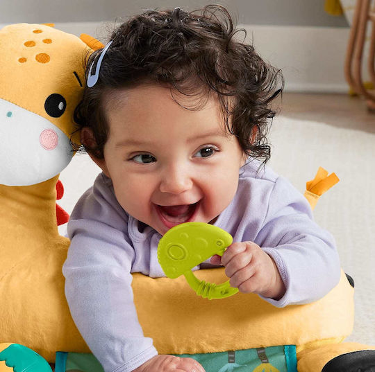 Fisher Price Mushroom Teething Relief for 3 m+