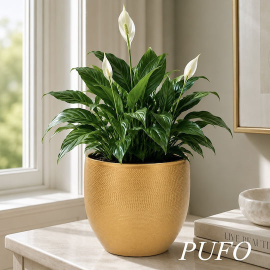 Vaze Pentru Plante Metalic Auriu 16x16x15.5cm