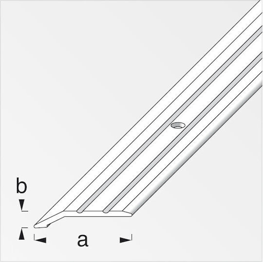 Alfer Aluminium Profil Aluminium für Teppiche 100x3x0.5cm 575008.0007