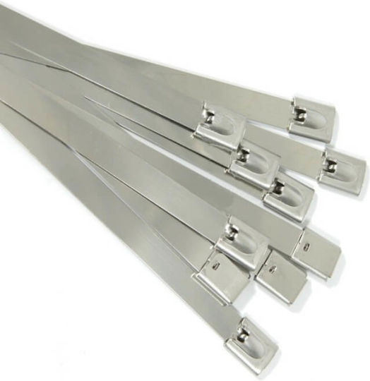 Panafix Plastic Cable Ties 300mmx4.6mm 25pcs 08-00933