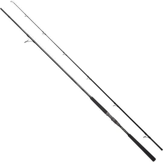 Slash Coast Thief Angelrute für Schweres Spinnfischen / Shore Jigging 2,81m 20-60g