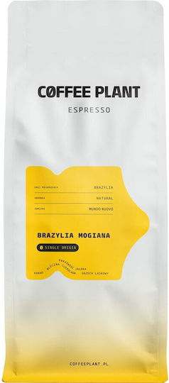 Brazil Espresso Kaffee Brasilien in Körner 1kg