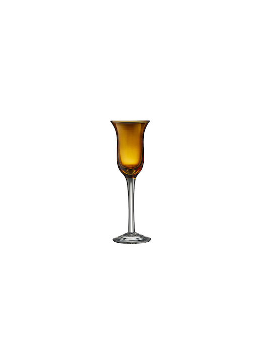 Lyngby Glas Shot Glasses made of Glass Stemmed 6pcs