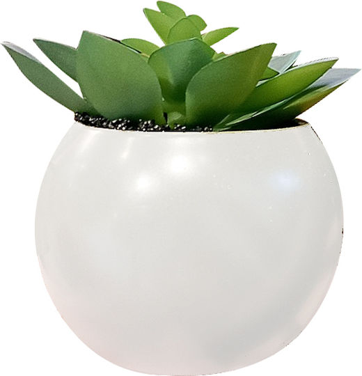 Παχυφυτο Γλαστρα 13cm 145000