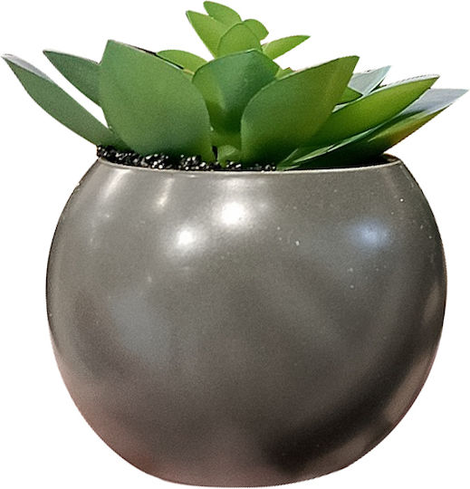 Παχυφυτο Γλαστρα 13cm 145000