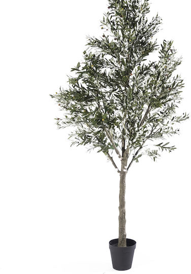 Ελιά Εξωτερικού Χώρου 310cm Supergreens