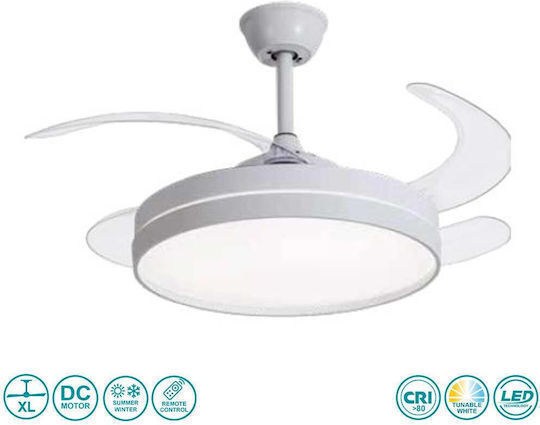 Lineme Caesio Ceiling Fan 106cm with Light Fixture Transparent / White