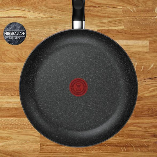 Tefal Двойна Омлетиера от Алуминий 25cm