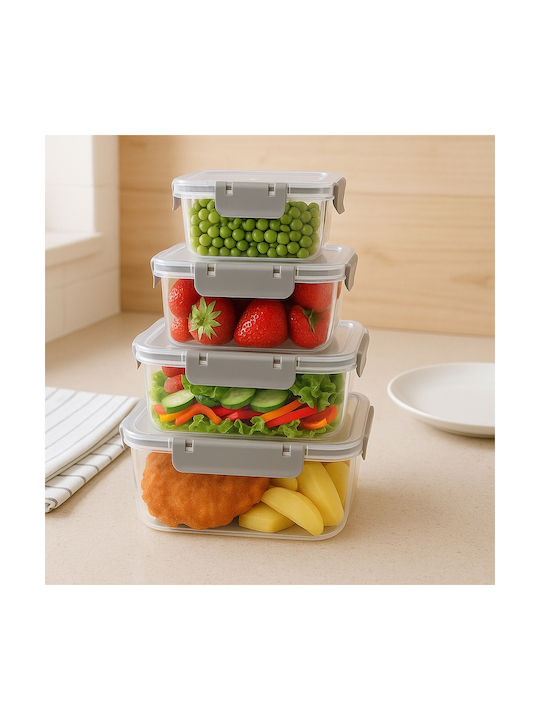 Orion Microwave Silicone Lunch Box Transparent 4pcs