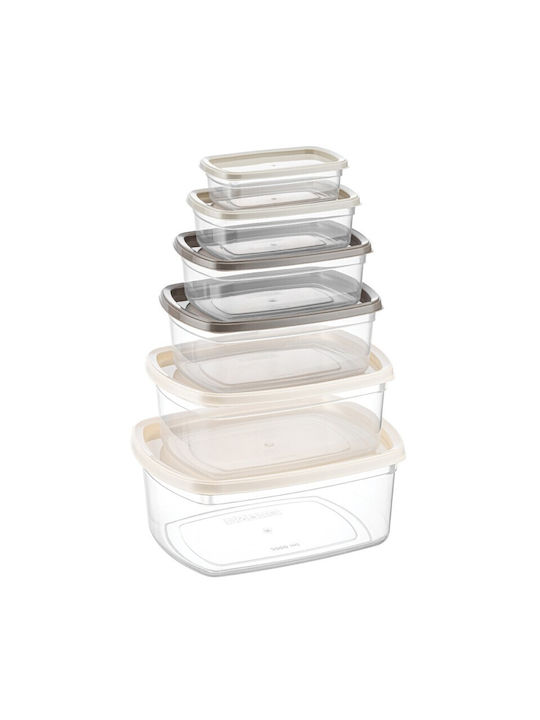 Viosarp Set Plastic Transparent Lunch Boxes 6 Pieces