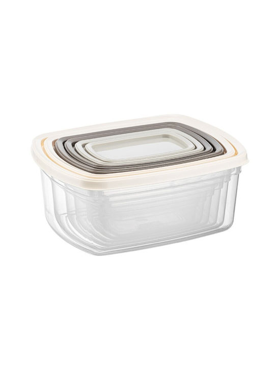 Viosarp Set Plastic Transparent Lunch Boxes 6 Pieces