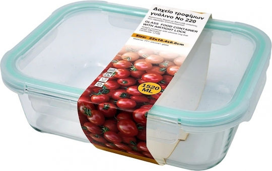 Sidirela Glass Lunch Box Green 1500ml