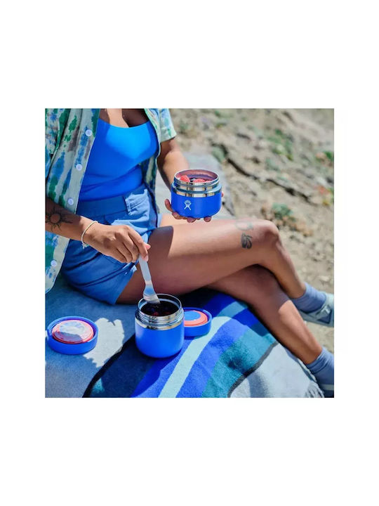 Hydro Flask Doi Faghet Inox Termos Negru 355ml