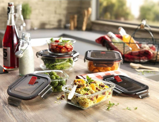 Zwilling J.A. Henckels Microwave Glass Lunch Box Gray 600ml
