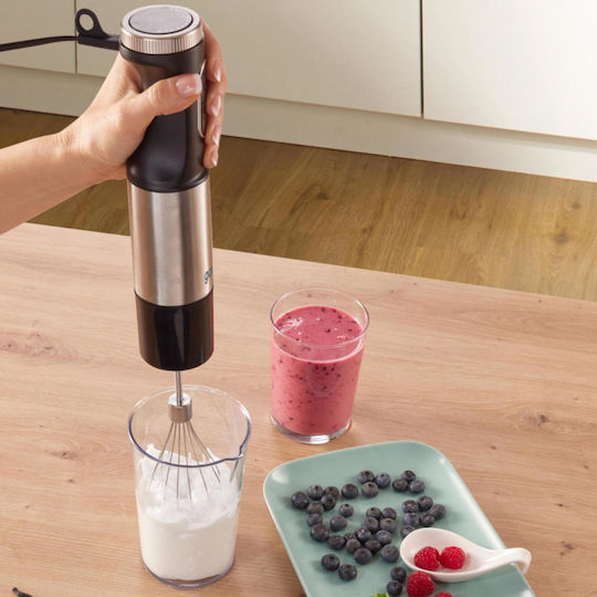 Gorenje Handmixer mit Inox-Stab 1000W Silber
