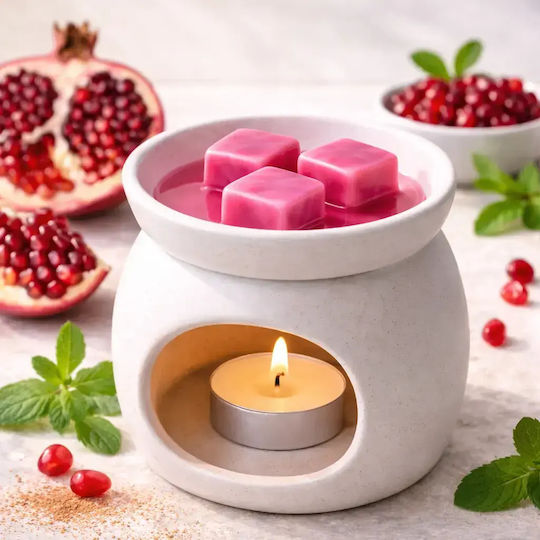 Wax Melts Cubes Pomegranate Handmade Soy Home Fragrance Cubes