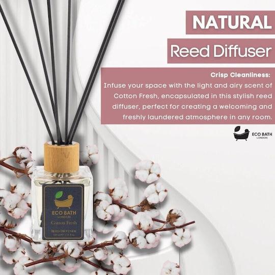 Fresh Diffuser mit Duft Zimt 100ml