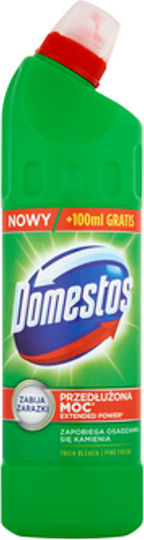 Domestos Pine Χλωρίνη σε Υγρή Μορφή με Άρωμα Πεύκο 750ml